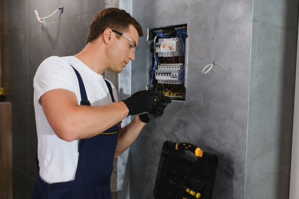 Best Electrical System Inspection  in St Peter, WI